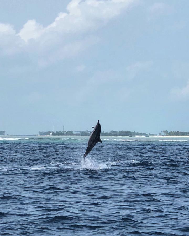 Seginy Seaview Hotell Guraidhoo  Exteriör bild